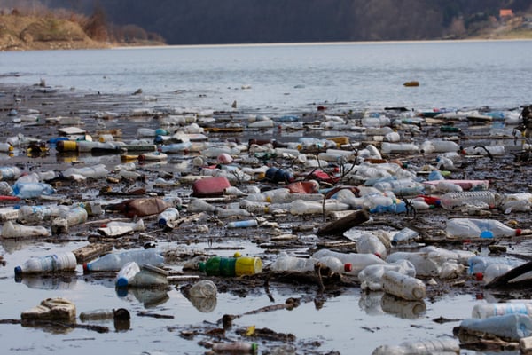2019-06_Advantage_blogs_what-does-contaminated-water-do-to-the-human-body_trash-in-river